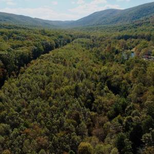 Photo #95 of 1504 Hutchison Rd. New Castle, VA, New Castle , VA 89.0 acres