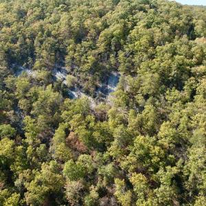 Photo #97 of 1504 Hutchison Rd. New Castle, VA, New Castle , VA 89.0 acres