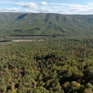 Photo #98 of 1504 Hutchison Rd. New Castle, VA, New Castle , VA 89.0 acres