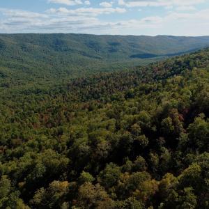 Photo #99 of 1504 Hutchison Rd. New Castle, VA, New Castle , VA 89.0 acres