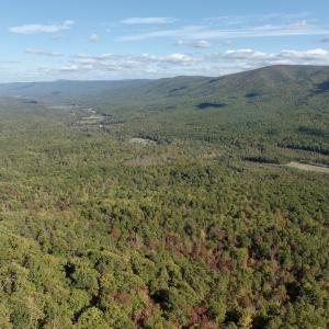 Photo #100 of 1504 Hutchison Rd. New Castle, VA, New Castle , VA 89.0 acres