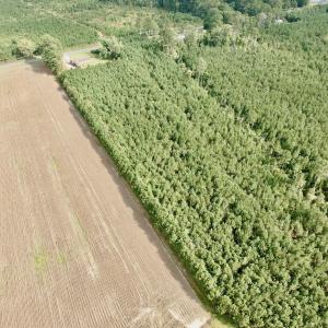 Photo #10 of Off Medical Center Road , Gates, NC 54.4 acres