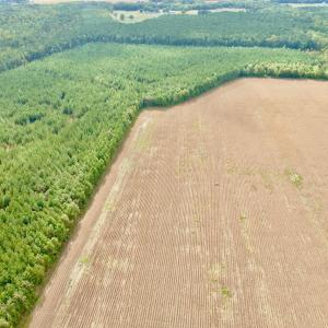 Photo #11 of Off Medical Center Road , Gates, NC 54.4 acres