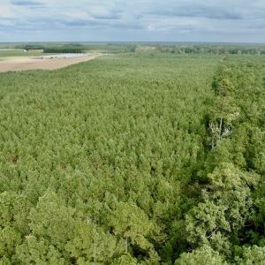Photo #12 of Off Medical Center Road , Gates, NC 54.4 acres