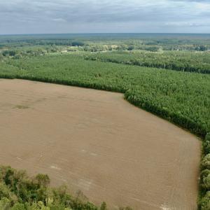 Photo #13 of Off Medical Center Road , Gates, NC 54.4 acres