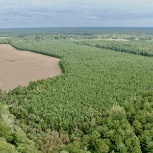 Photo #14 of Off Medical Center Road , Gates, NC 54.4 acres