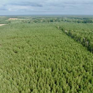 Photo #18 of Off Medical Center Road , Gates, NC 54.4 acres