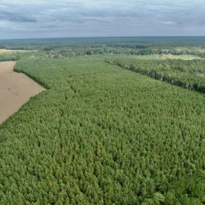 Photo #1 of Off Medical Center Road , Gates, NC 54.4 acres