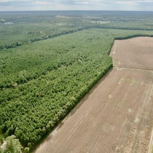 Photo #2 of Off Medical Center Road , Gates, NC 54.4 acres