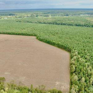 Photo #20 of Off Medical Center Road , Gates, NC 54.4 acres
