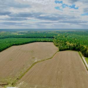 Photo #21 of Off Medical Center Road , Gates, NC 54.4 acres