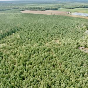 Photo #22 of Off Medical Center Road , Gates, NC 54.4 acres