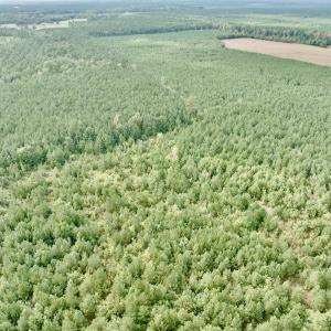 Photo #24 of Off Medical Center Road , Gates, NC 54.4 acres