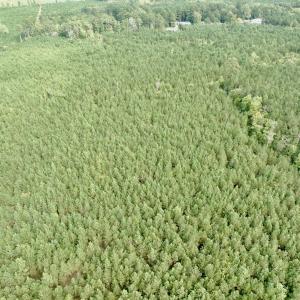 Photo #25 of Off Medical Center Road , Gates, NC 54.4 acres