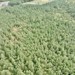 Photo #26 of Off Medical Center Road , Gates, NC 54.4 acres