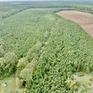 Photo #27 of Off Medical Center Road , Gates, NC 54.4 acres