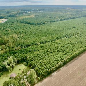 Photo #28 of Off Medical Center Road , Gates, NC 54.4 acres