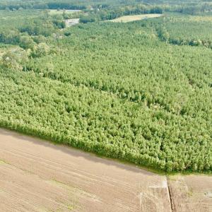 Photo #3 of Off Medical Center Road , Gates, NC 54.4 acres