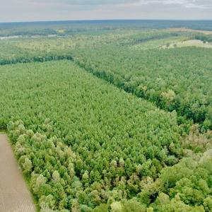Photo #29 of Off Medical Center Road , Gates, NC 54.4 acres