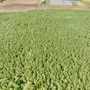 Photo #31 of Off Medical Center Road , Gates, NC 54.4 acres