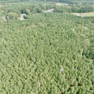 Photo #32 of Off Medical Center Road , Gates, NC 54.4 acres
