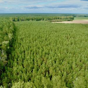 Photo #4 of Off Medical Center Road , Gates, NC 54.4 acres
