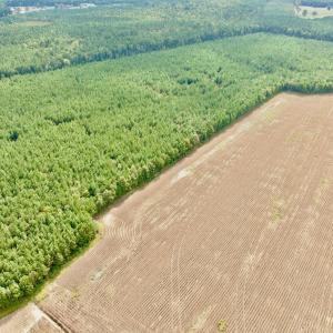 Photo #5 of Off Medical Center Road , Gates, NC 54.4 acres
