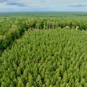 Photo #6 of Off Medical Center Road , Gates, NC 54.4 acres