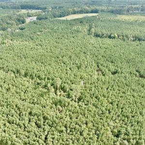 Photo #7 of Off Medical Center Road , Gates, NC 54.4 acres