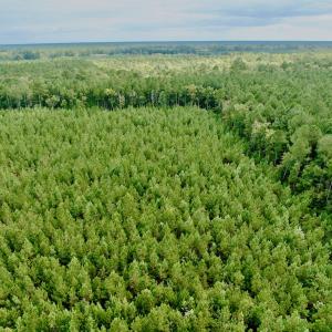 Photo #8 of Off Medical Center Road , Gates, NC 54.4 acres