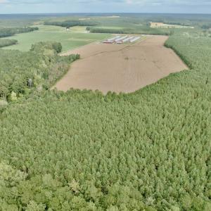 Photo #9 of Off Medical Center Road , Gates, NC 54.4 acres