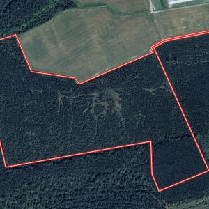 Photo #36 of Off Medical Center Road , Gates, NC 54.4 acres