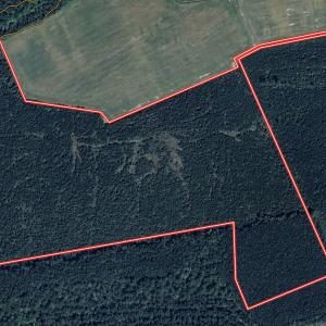 Photo #33 of Off Medical Center Road , Gates, NC 54.4 acres