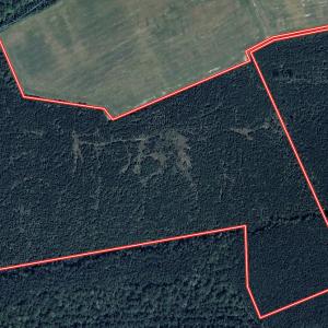 Photo #34 of Off Medical Center Road , Gates, NC 54.4 acres