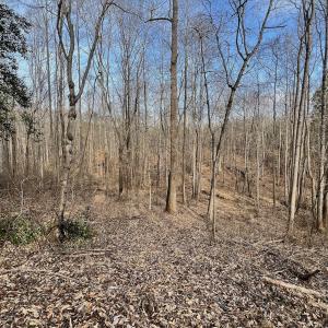 Photo #33 of Off Yorkshire Drive, Sandy Level, VA 20.0 acres