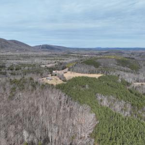 Photo #34 of Off Yorkshire Drive, Sandy Level, VA 20.0 acres