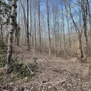 Photo #38 of Off Yorkshire Drive, Sandy Level, VA 20.0 acres