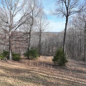 Photo #25 of Off Yorkshire Drive, Sandy Level, VA 20.0 acres