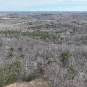 Photo #27 of Off Yorkshire Drive, Sandy Level, VA 20.0 acres