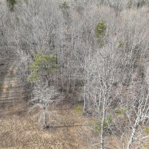 Photo #29 of Off Yorkshire Drive, Sandy Level, VA 20.0 acres