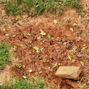 Photo #15 of Off Yorkshire Drive, Sandy Level, VA 20.0 acres