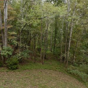 Photo #16 of Off Yorkshire Drive, Sandy Level, VA 20.0 acres