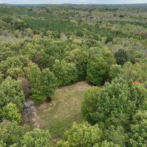Photo #4 of Off Yorkshire Drive, Sandy Level, VA 20.0 acres