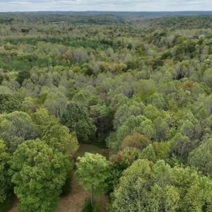 Photo #5 of Off Yorkshire Drive, Sandy Level, VA 20.0 acres