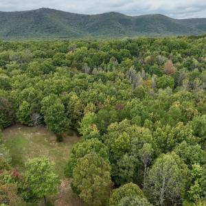 Photo #7 of Off Yorkshire Drive, Sandy Level, VA 20.0 acres