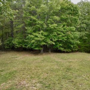 Photo #10 of Off Yorkshire Drive, Sandy Level, VA 20.0 acres