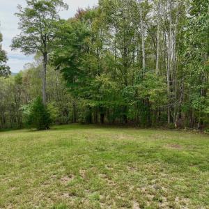 Photo #11 of Off Yorkshire Drive, Sandy Level, VA 20.0 acres