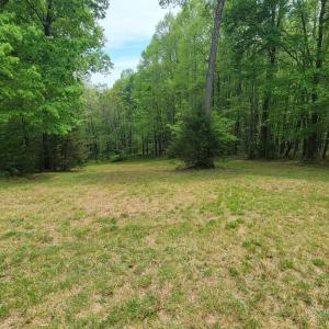 Photo #44 of Off Yorkshire Drive, Sandy Level, VA 20.0 acres