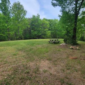 Photo #45 of Off Yorkshire Drive, Sandy Level, VA 20.0 acres
