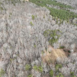 Photo #56 of Off Yorkshire Drive, Sandy Level, VA 20.0 acres